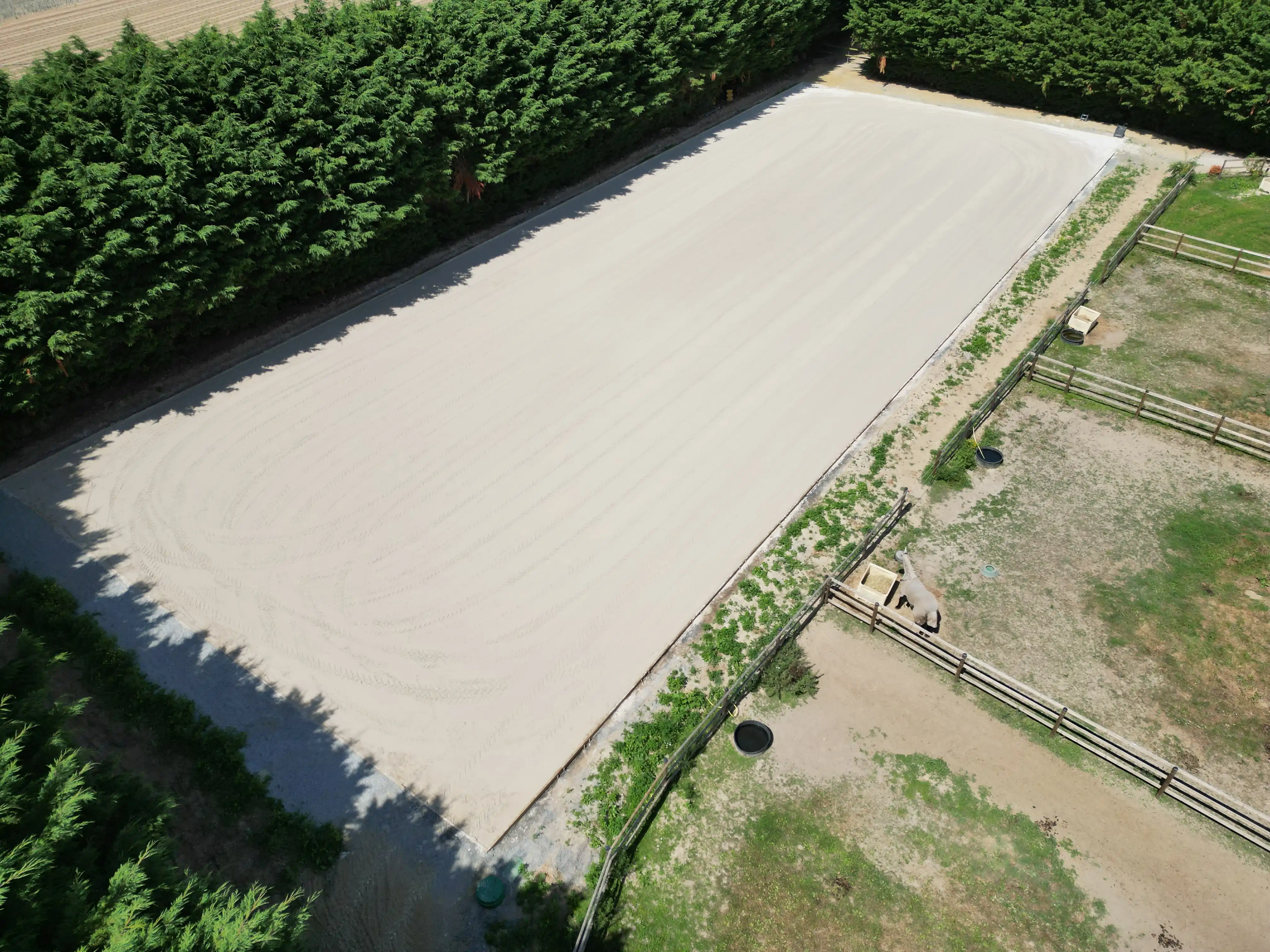 Comment choisir un sol équestre performant et durable ?